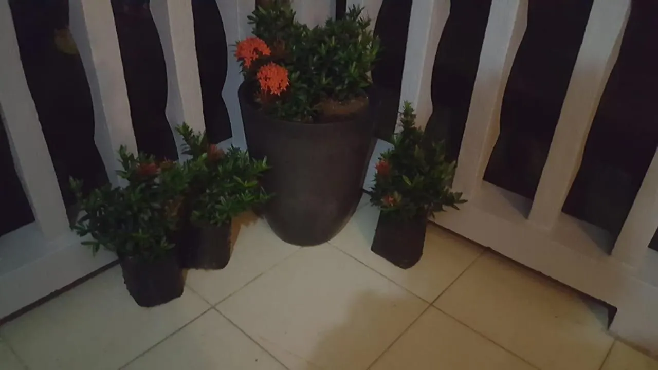 דירה גרוס איילט Blu Skaii Apt 5Minutes2 Rodney Bay By Car